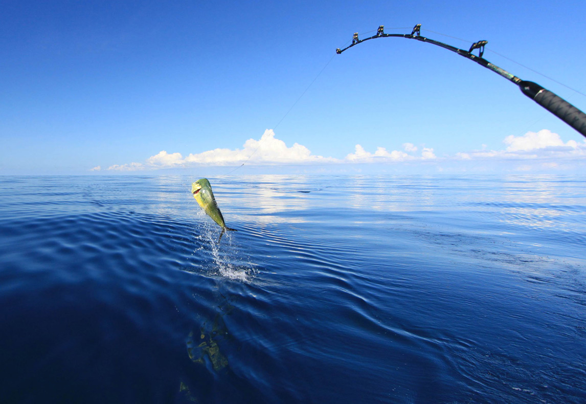 Deep Sea Fishing