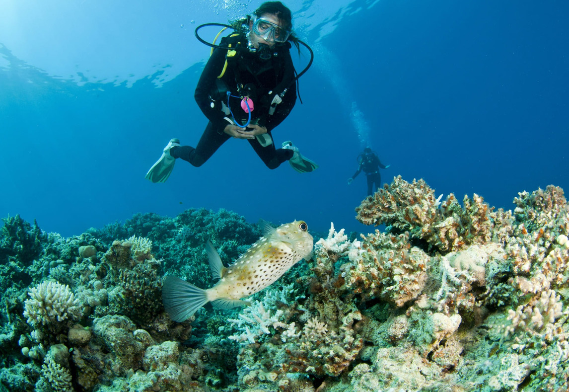 Diving & Snorkelling